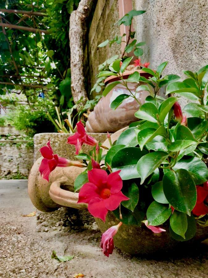 Bed and Breakfast Casa Gentile Agerola Exterior foto