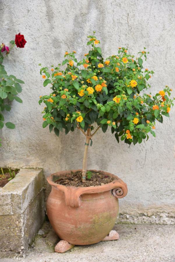 Bed and Breakfast Casa Gentile Agerola Exterior foto