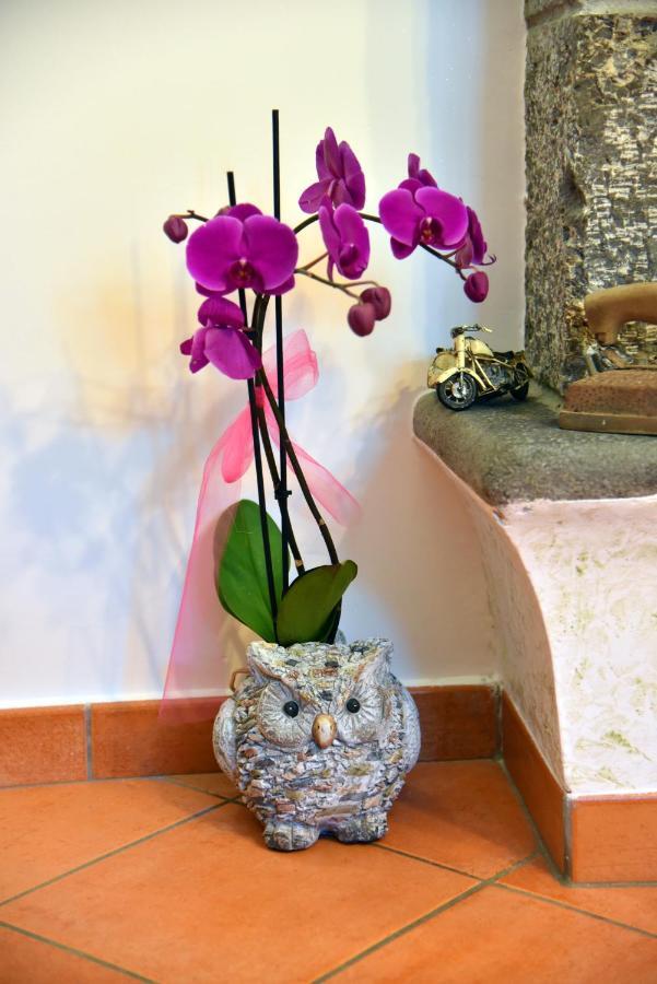 Bed and Breakfast Casa Gentile Agerola Exterior foto